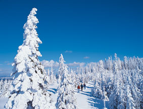 Schneeschuhwandern im Bayerischen Wald